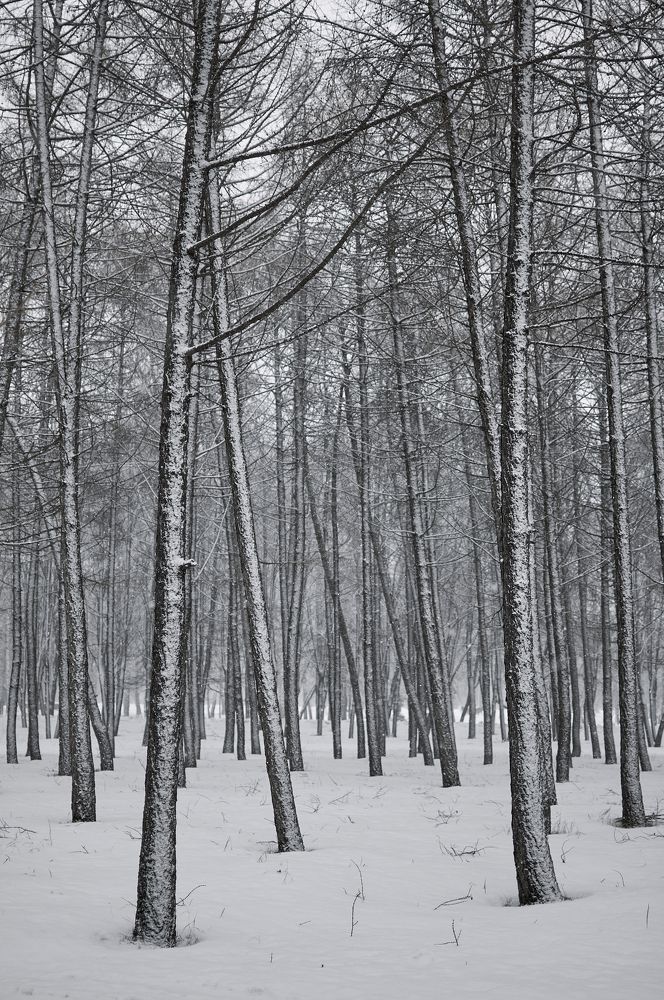 Photograph by Оксана Бабикова