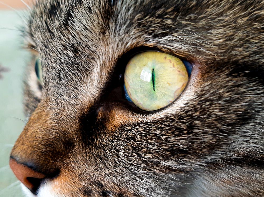 Photograph by Мария Глотова