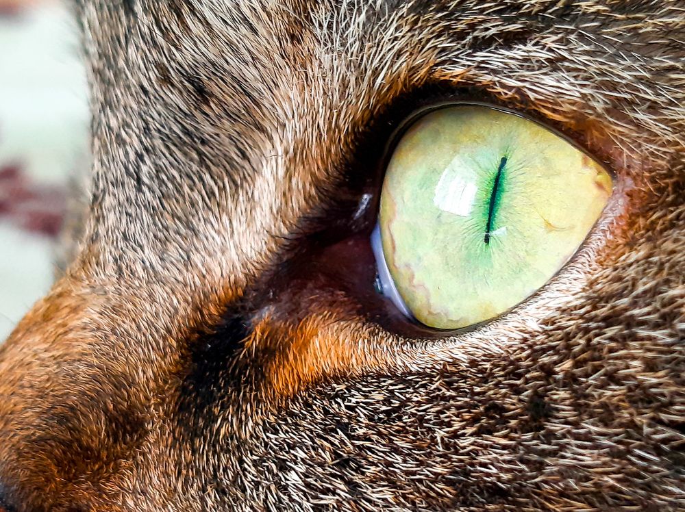 Photograph by Мария Глотова