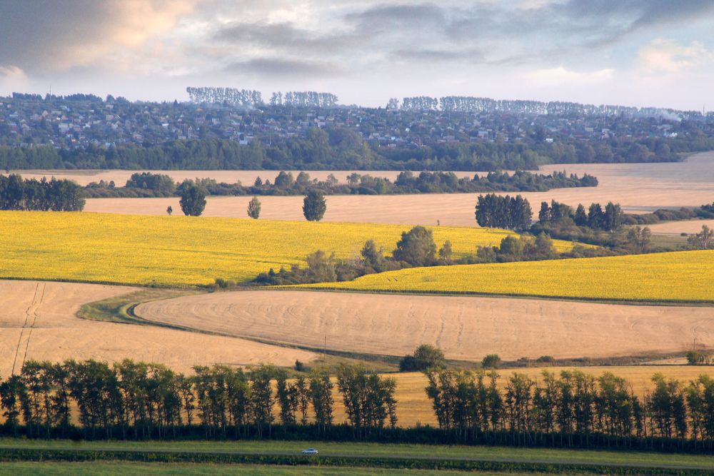 Пора сенокосная.