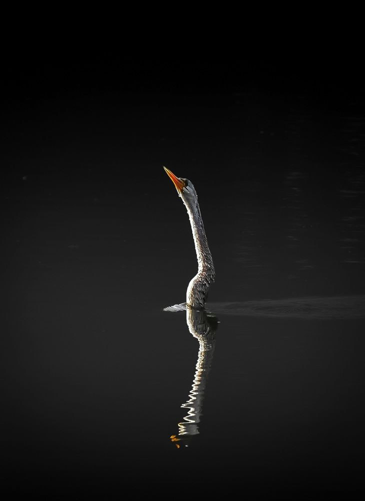 Photograph by amit kumar