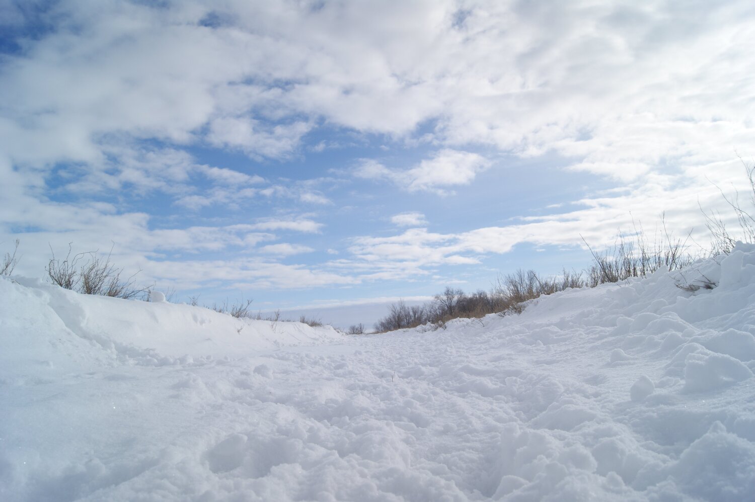 Photo #5933726