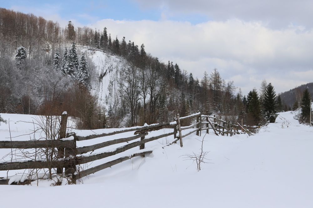 Photograph by Андрей Телибаев