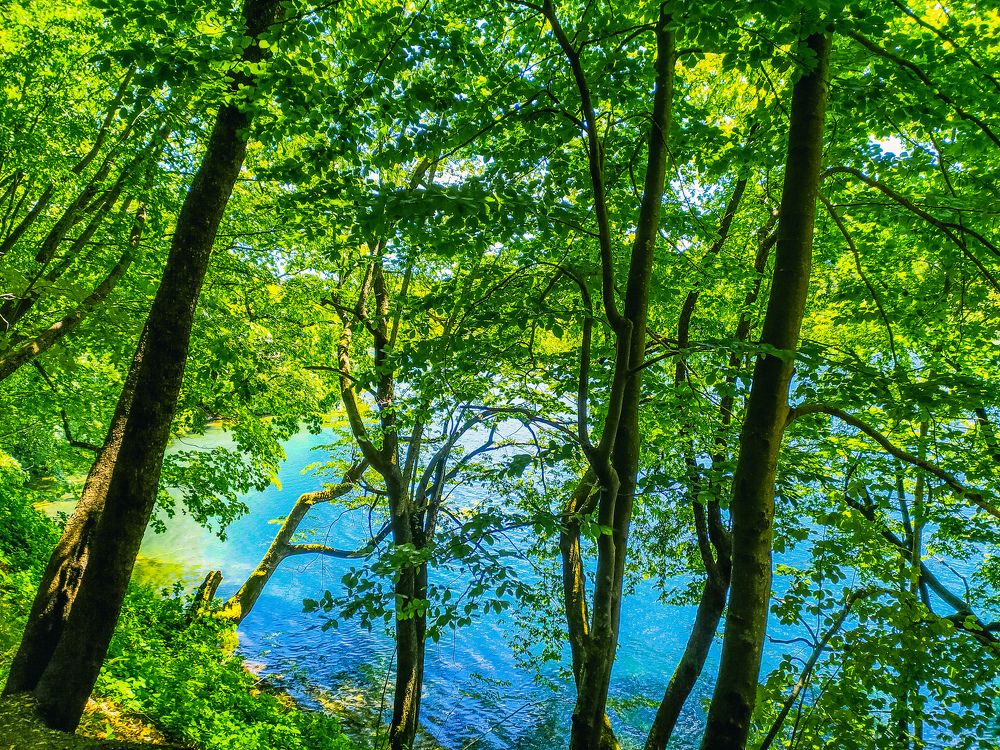 Photograph by Ela Perusic