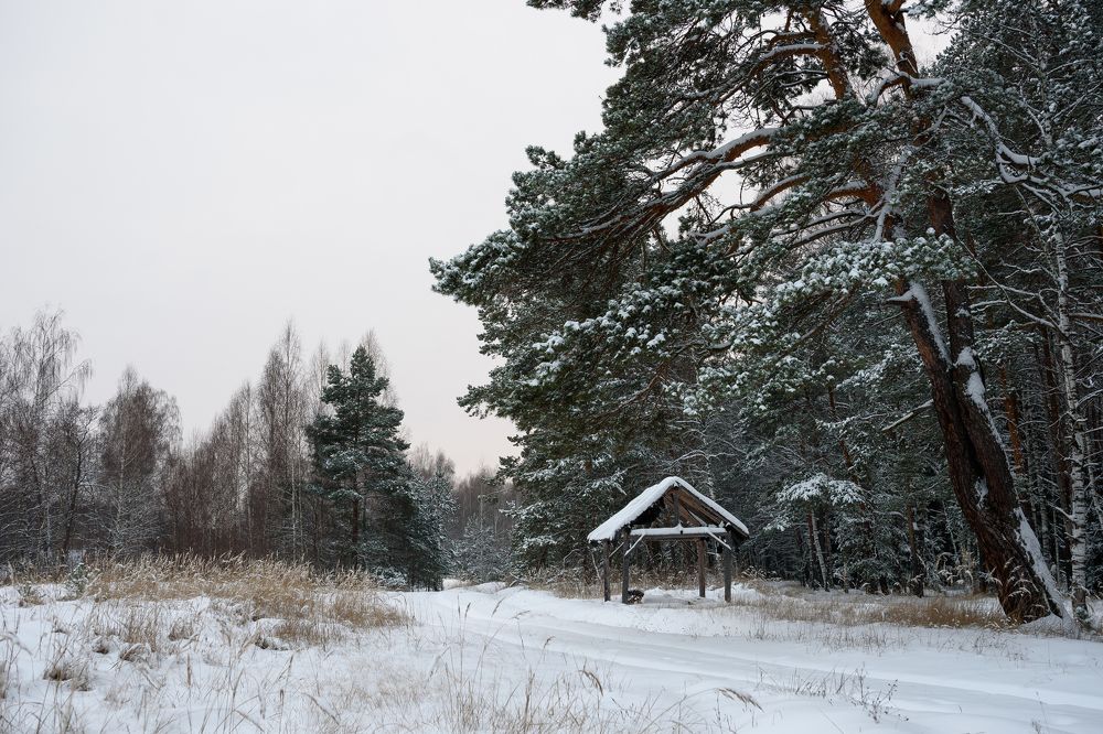 Photograph by Виктор Зенин