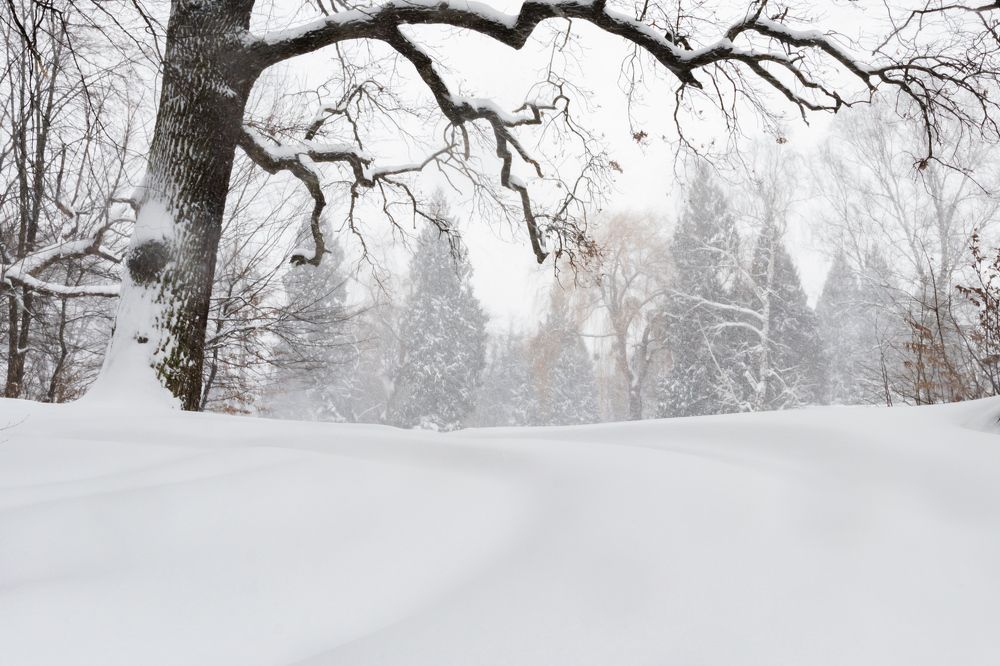 Photograph by Марина Грыныха