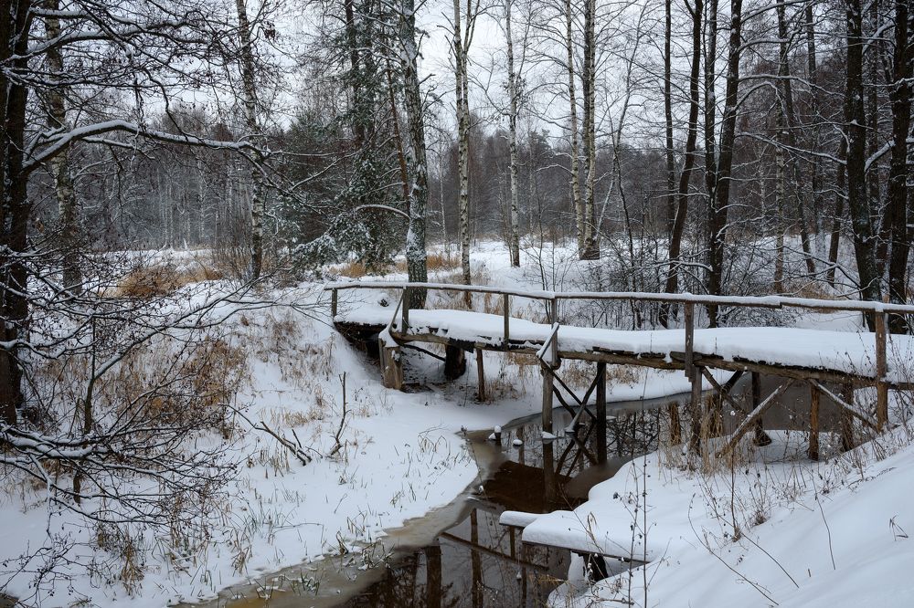 Photograph by Виктор Зенин