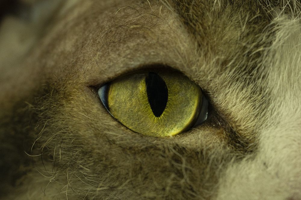 Photograph by Карина Колодкова