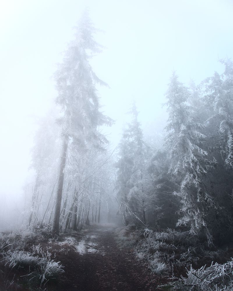 Photograph by Marek Piasecki