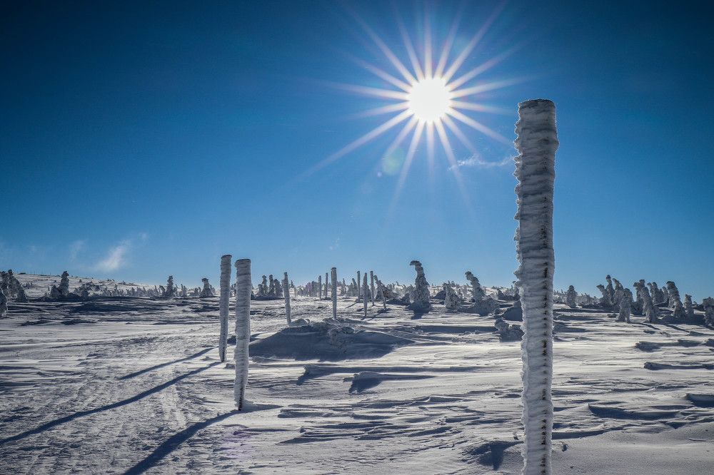 Cesta česko-polského přátelství