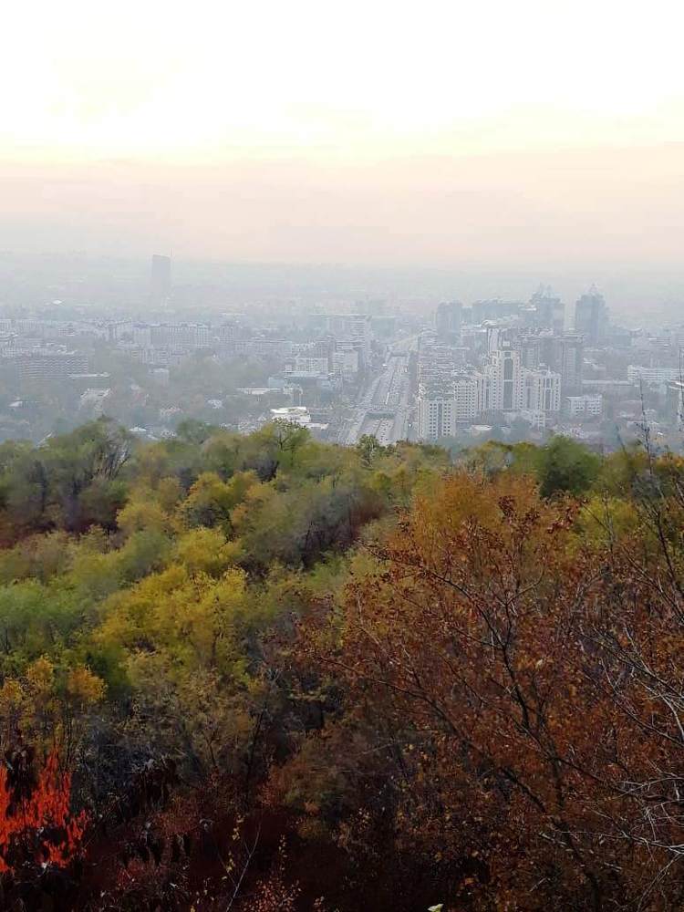 Photograph by Валентина Кимкина