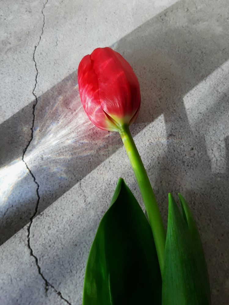 Photograph by Оксана Корепанова