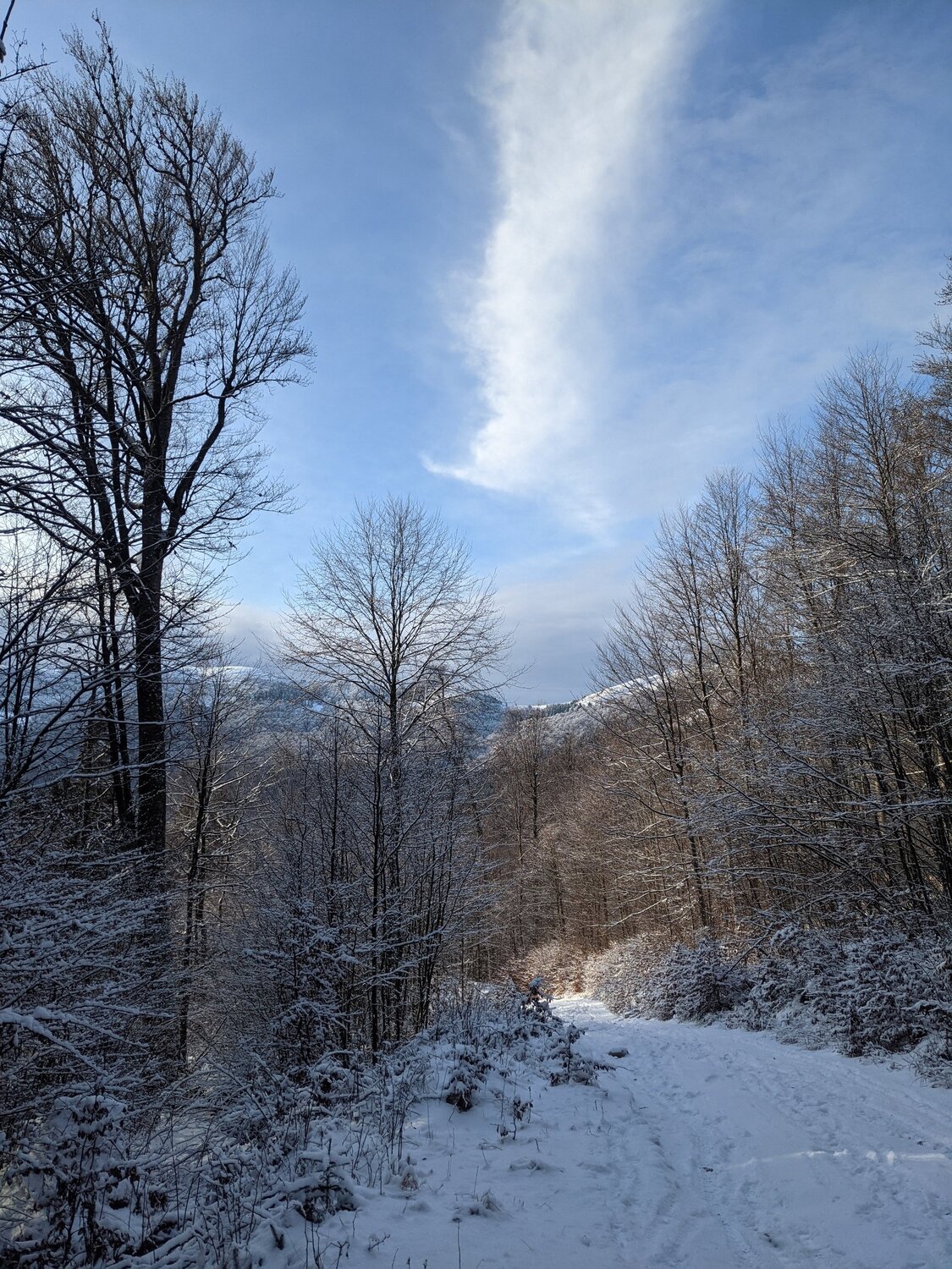 Photo #5933999