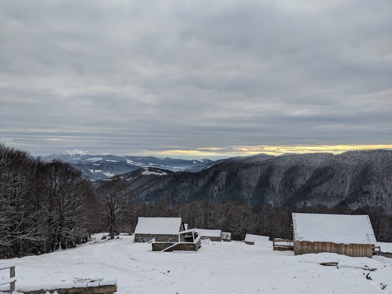 Photo #5934002