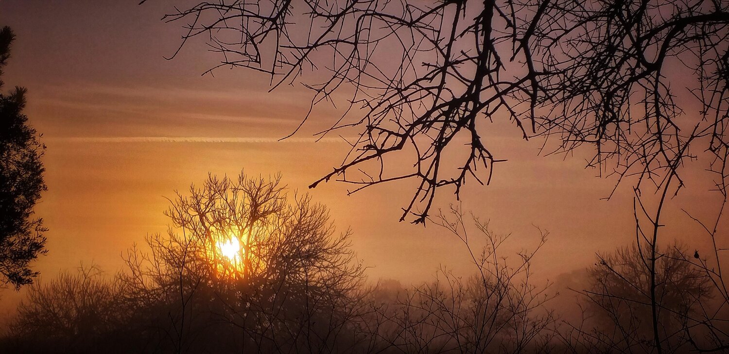 Nature's Heart