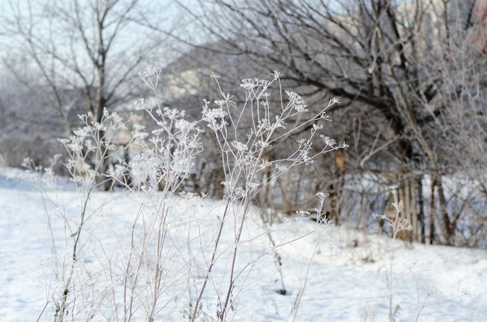 Photograph by Елена Коптева