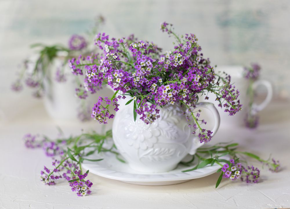 Фотография автора Olga Aleksandrovna