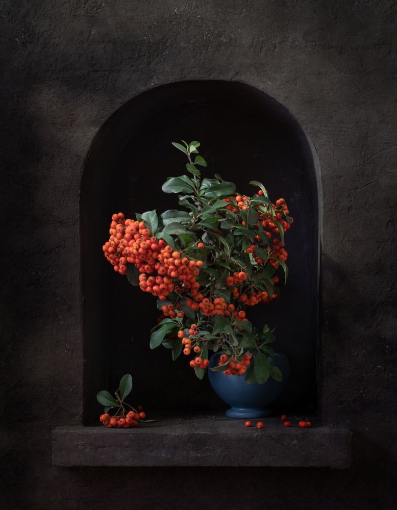 Пираканта в нише