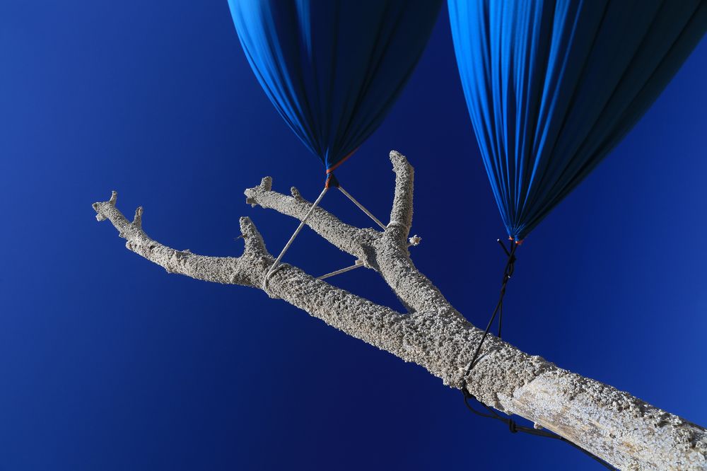 Photograph by Ralitsa Byalkova