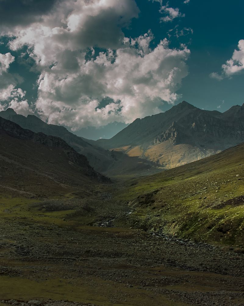 Photograph by Murad Bichoo