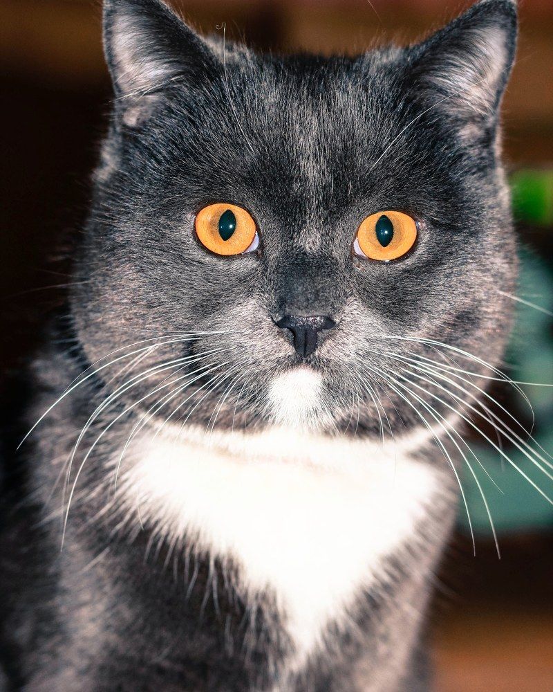 Photograph by Андрей Потапов