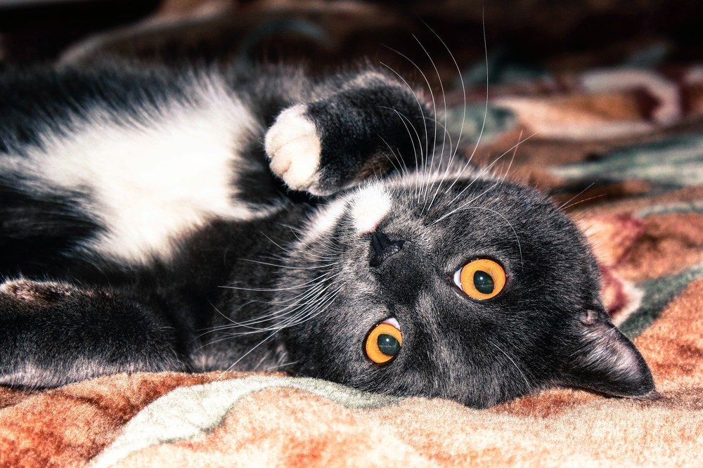 Photograph by Андрей Потапов