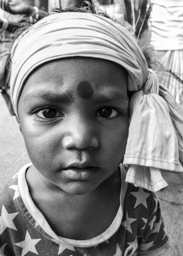 Фотография автора SK Shahbaj Ahmed