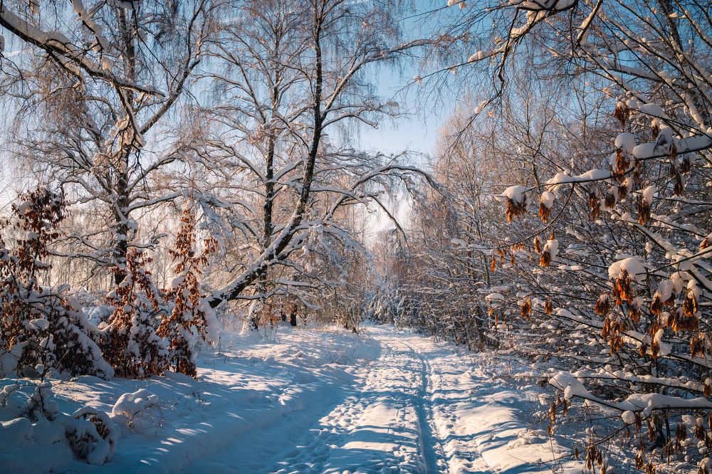 Мороз и солнце...