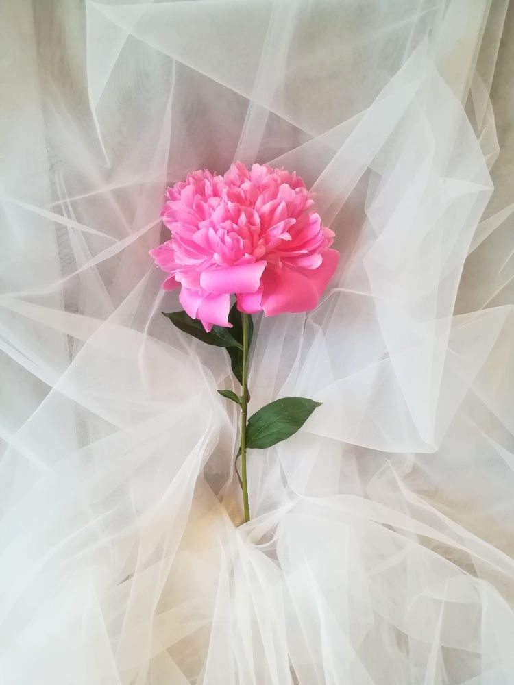 Photograph by Евгений Белов