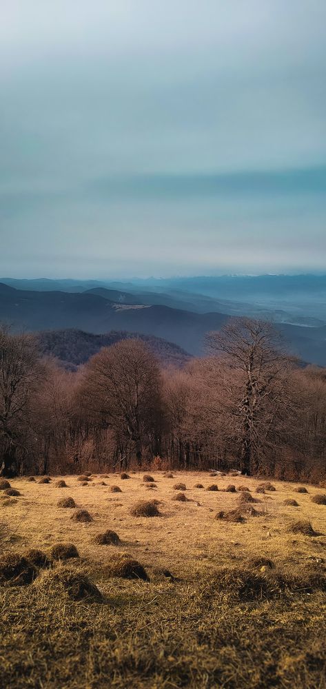 Photograph by spartak shanshiashvili