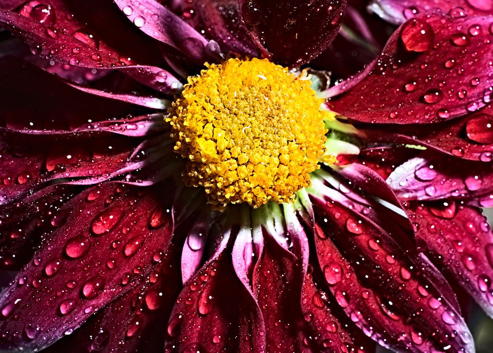 Photograph by Евгений Козлов