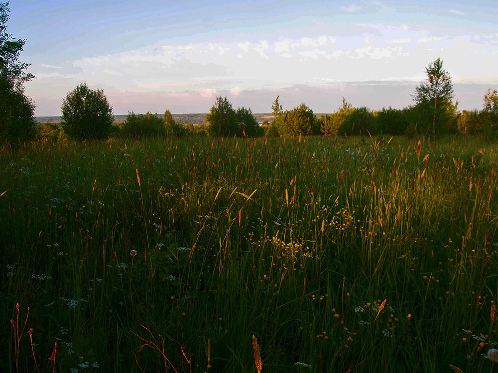 Photograph by Ольга Цветкова