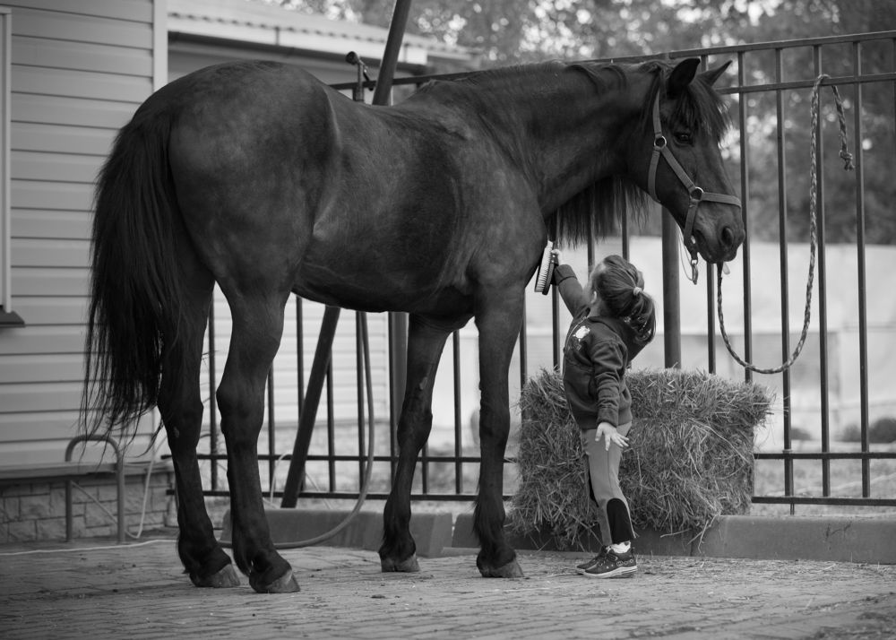 Photograph by Яна Орлова