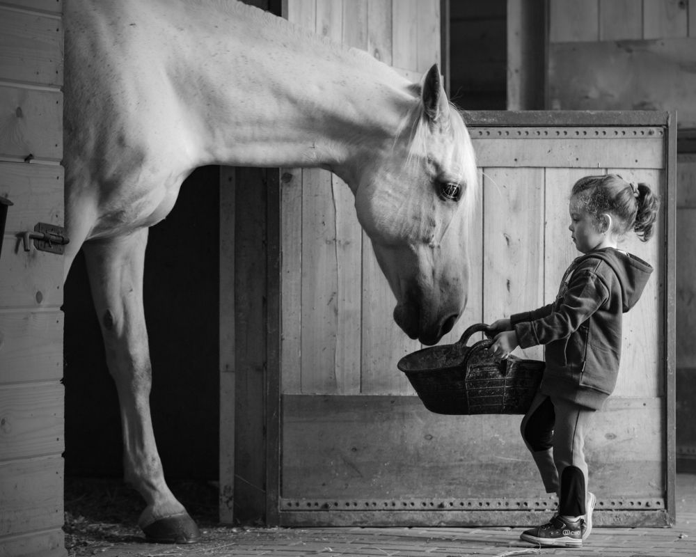 Photograph by Яна Орлова