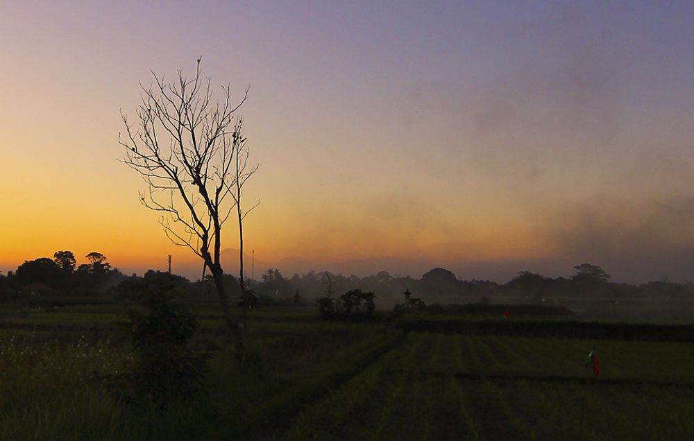 Photograph by dewa putra