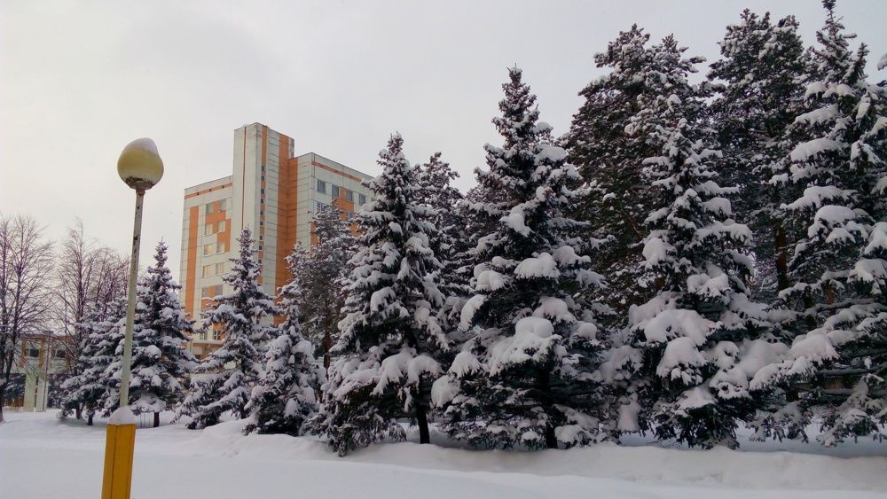 Photograph by Михалевич Машка