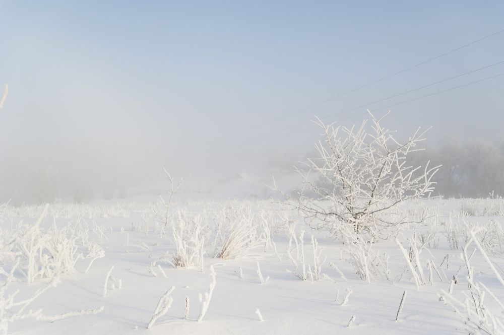 Photograph by Svetlana