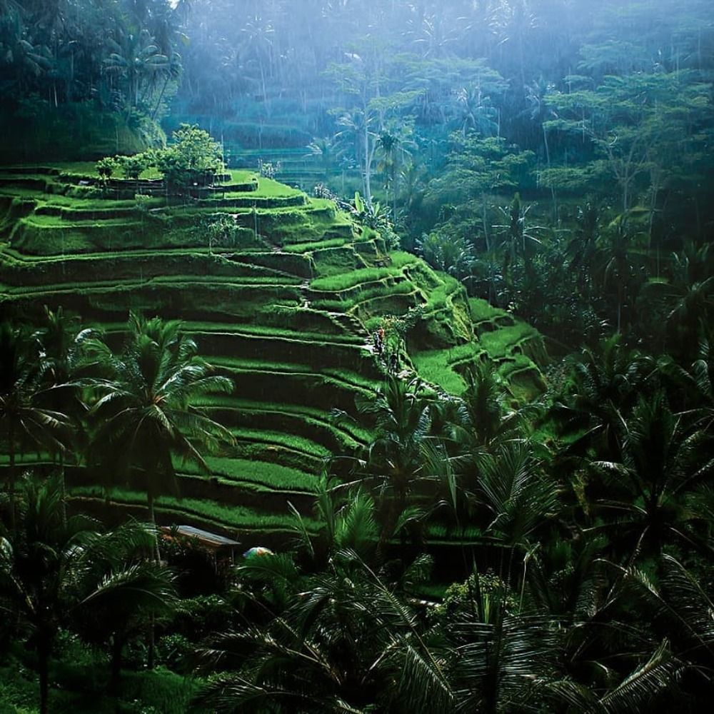 Photograph by dewa putra