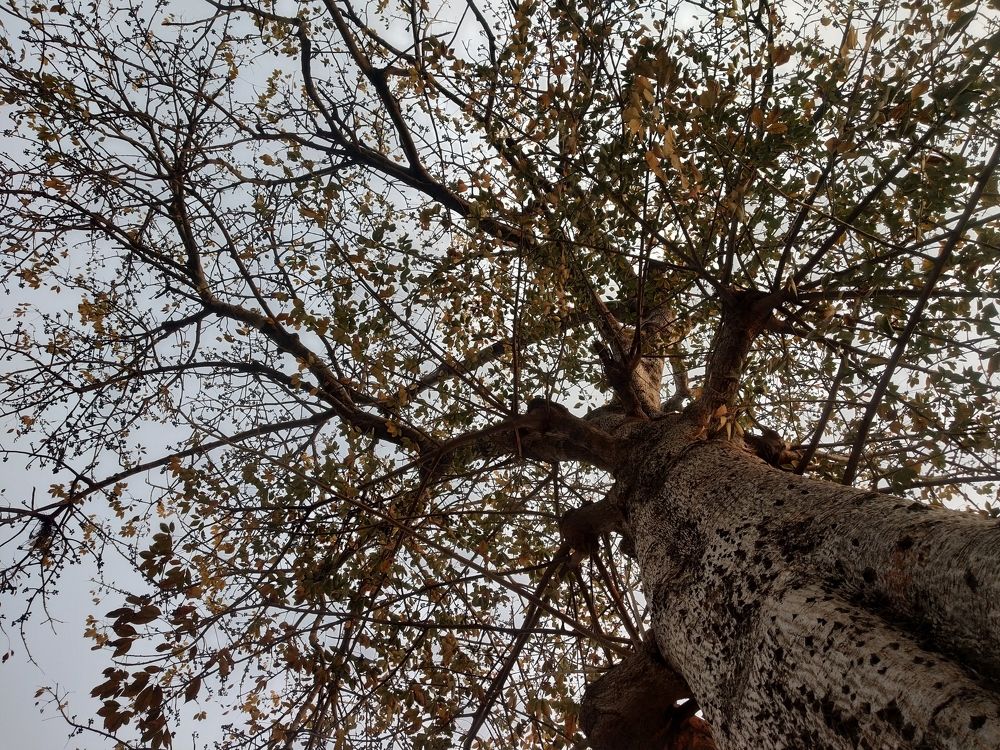 Photograph by Priyanka Sharma