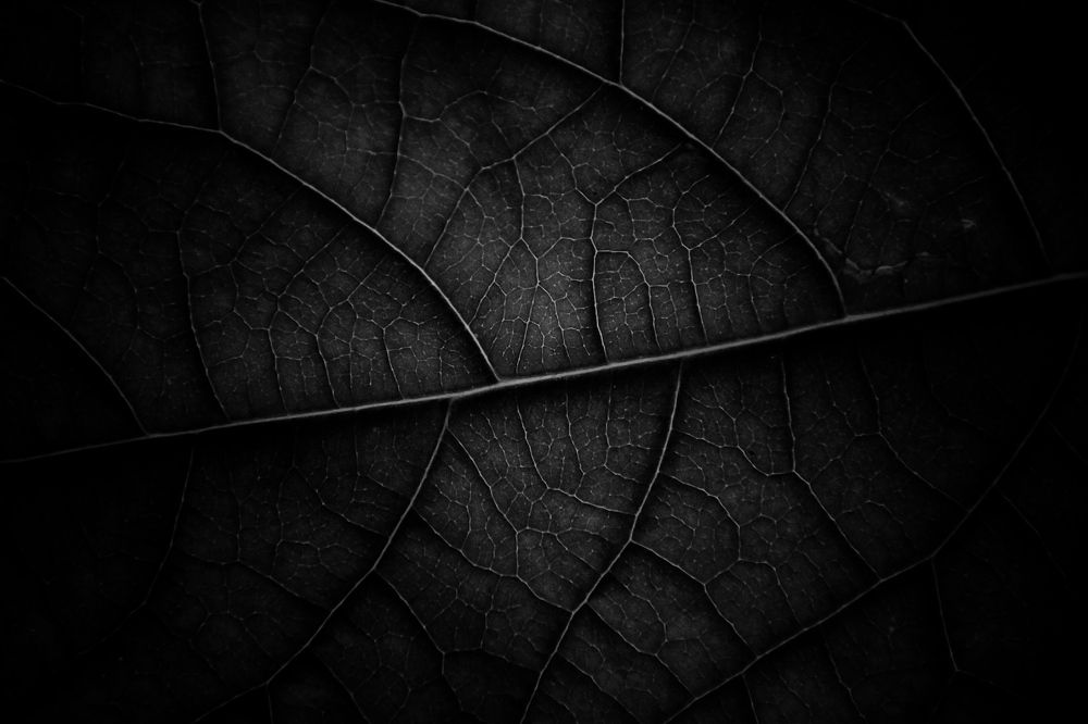 Photograph by Aksana Smagure