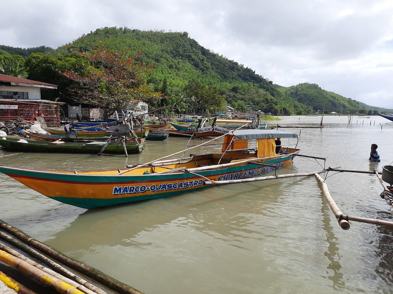 Photo #5934700