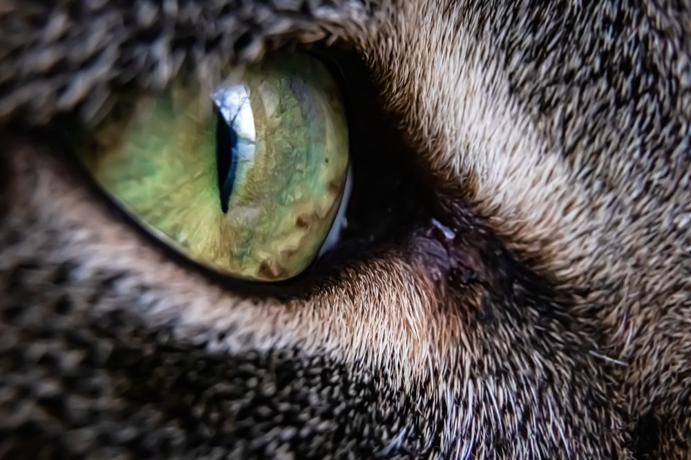 Photograph by Сергей Барабулькин