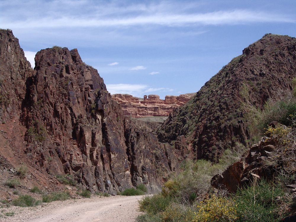 Photograph by Михаил Максимов