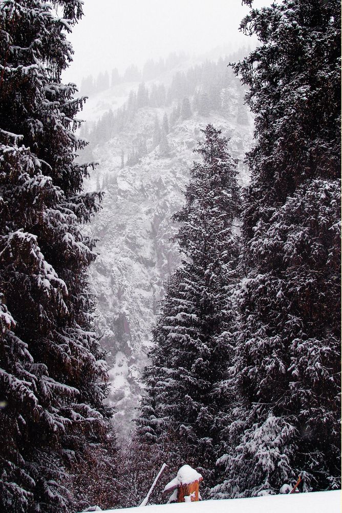 Photograph by Михаил Максимов