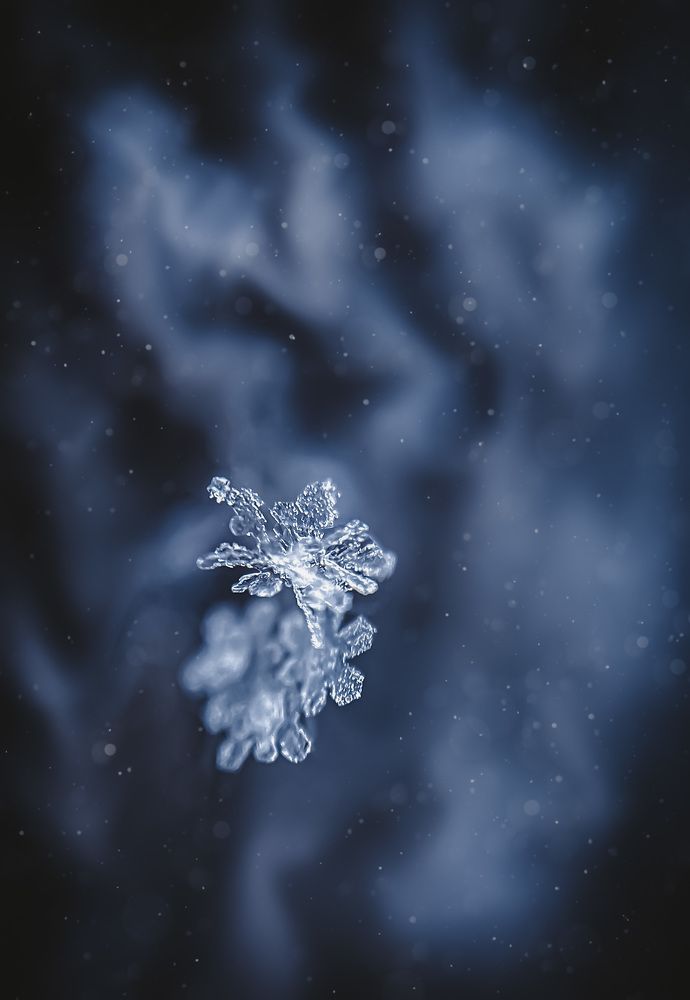 Photograph by Ксения Цапуста