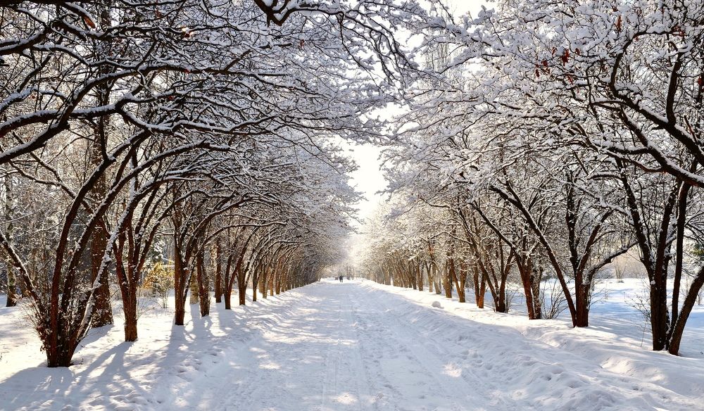 Photograph by Искандар Газизов