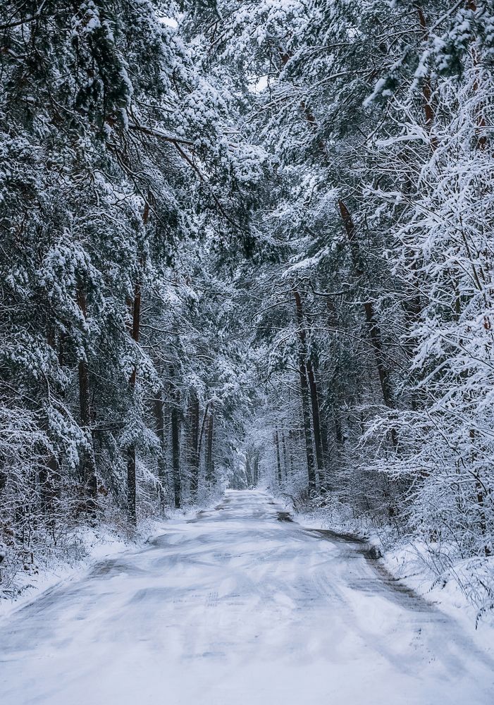 Photograph by Смоляк Максим Дмитриевич