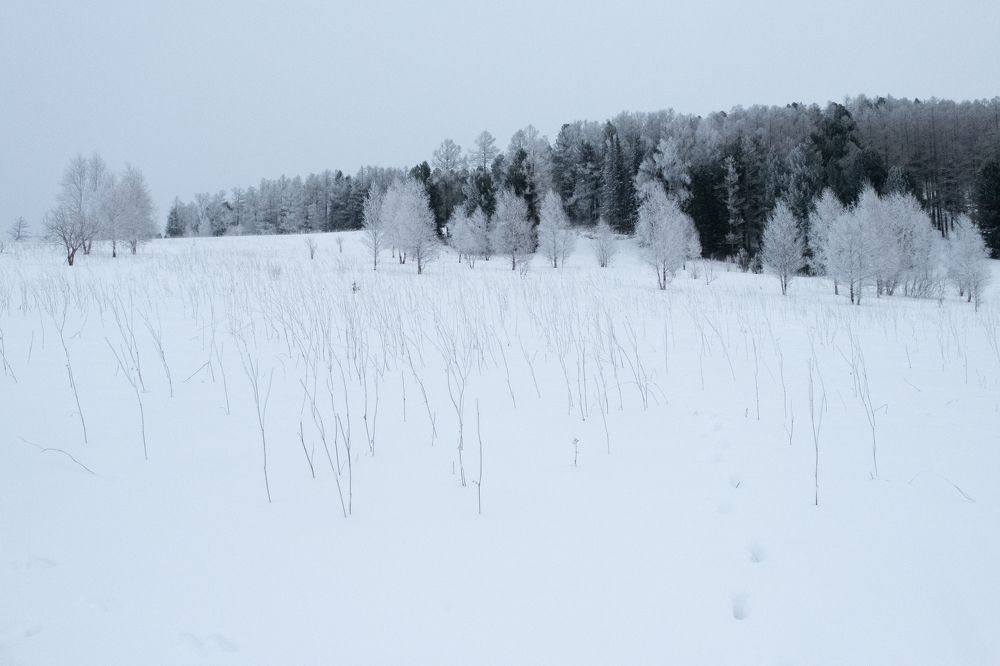 Горный Алтай