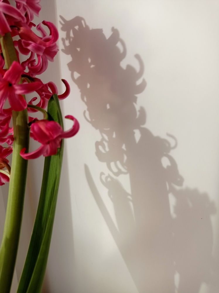 Photograph by Наталья Стальмакова