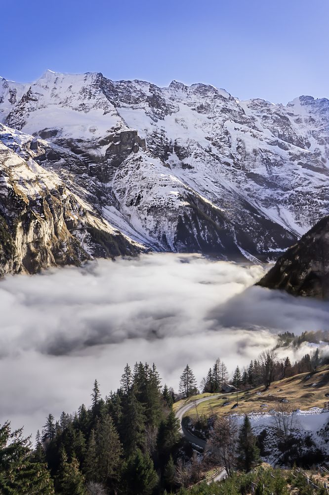 Photograph by Анастасия Ди Филиппо